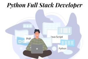 Python Full Stack Developer